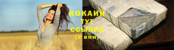твердый Ростов