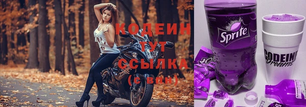 дурь Рославль