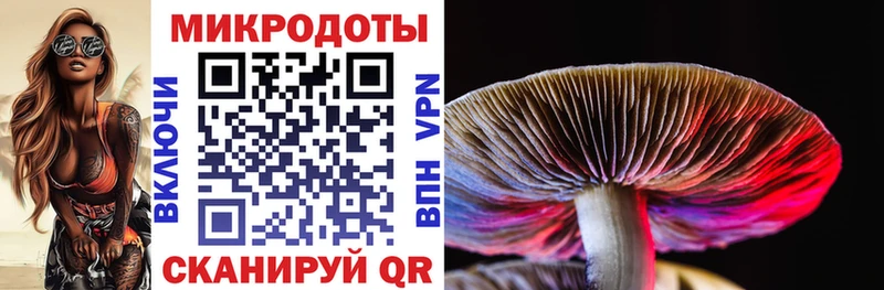 где найти Вилюйск Псилоцибиновые грибы прущие грибы